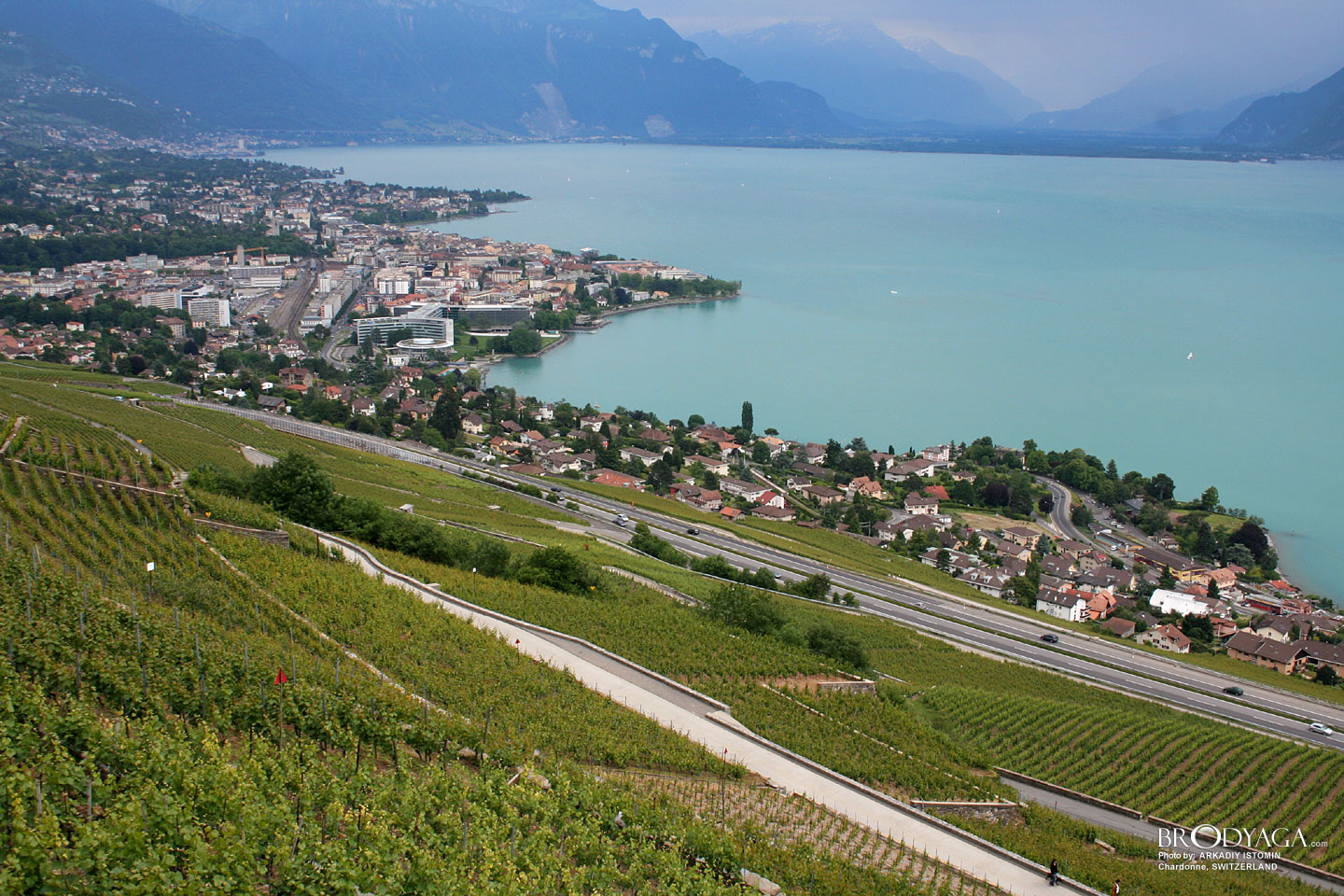 Chardonne